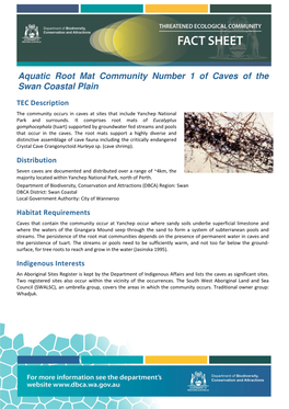 Aquatic Root Mat Community Number 1 of Caves of the Swan Coastal Plain