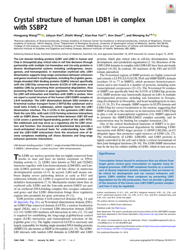 Crystal Structure of Human LDB1 in Complex with SSBP2