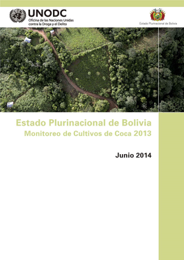 Informe Monitoreo Cultivo De Coca 2013