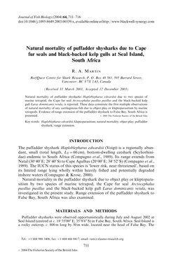 Natural Mortality of Puffadder Shysharks Due to Cape Fur Seals and Black-Backed Kelp Gulls at Seal Island, South Africa