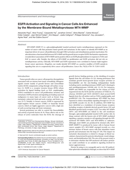 EGFR Activation and Signaling in Cancer Cells Are Enhanced by the Membrane-Bound Metalloprotease MT4-MMP