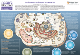 Antigen Processing and Presentation Pamela Wearsch and Peter Cresswell