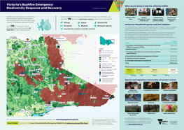 Victoria's Bushfire Emergency: Biodiversity Response