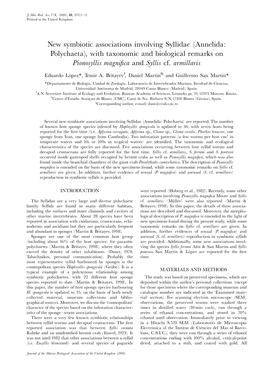 New Symbiotic Associations Involving Syllidae (Annelida: Polychaeta)