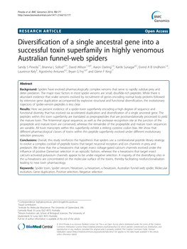 Diversification of a Single Ancestral Gene Into a Successful Toxin Superfamily in Highly Venomous Australian Funnel-Web Spiders