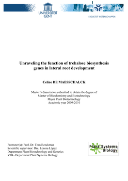 Unraveling the Function of Trehalose Biosynthesis Genes in Lateral Root Development