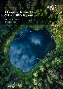 A Leapfrog Moment for China in ESG Reporting