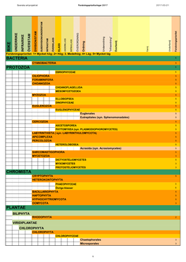 Rike Bacteria Protozoa Chromista Plantae