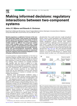 Making Informed Decisions: Regulatory Interactions Between Two-Component Systems