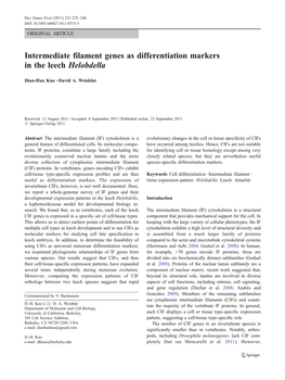 Intermediate Filament Genes As Differentiation Markers in the Leech Helobdella