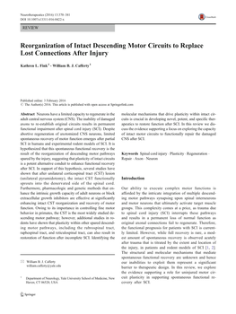 Reorganization of Intact Descending Motor Circuits to Replace Lost Connections After Injury