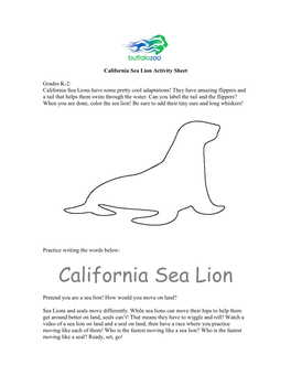 California Sea Lion Activity Sheet