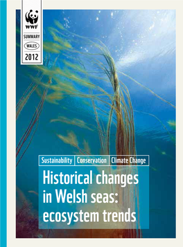 Historical Changes in Welsh Seas: Ecosystem Trends