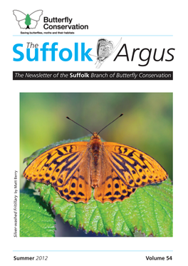 Suffolk Argus Broad-Bordered Bee Hawk-Moth