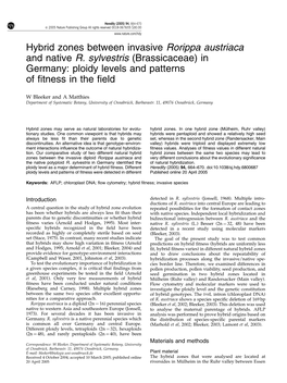 Hybrid Zones Between Invasive Rorippa Austriaca and Native R
