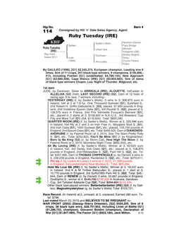 114 Consigned by Hill ’N’ Dale Sales Agency, Agent Ruby Tuesday (IRE)