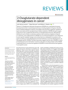 2-Oxoglutarate-Dependent Dioxygenases in Cancer