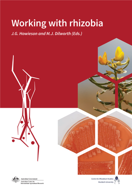 Working with Rhizobia J.G