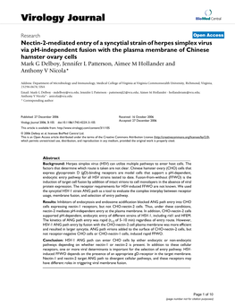 Nectin-2-Mediated Entry of a Syncytial Strain of Herpes Simplex Virus Via