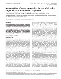 Manipulation of Gene Expression in Zebrafish Using Caged Circular Morpholino Oligomers Yuan Wang, Li Wu, Peng Wang, Cong Lv, Zhenjun Yang and Xinjing Tang*