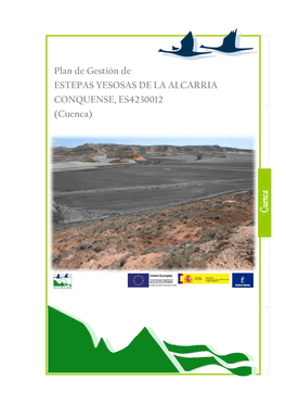 Plan De Gestión De ESTEPAS YESOSAS DE LA ALCARRIA CONQUENSE, ES4230012