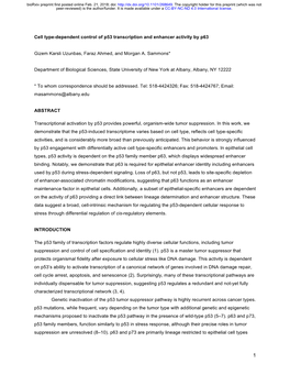 Cell Type-Dependent Control of P53 Transcription and Enhancer Activity by P63