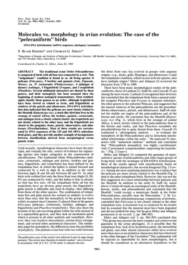 Birds (DNA'dna Hybridization/Mtdna Sequences/Phylogeny/Systematics)