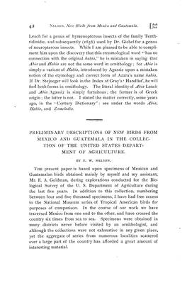 Preliminary Descriptions of New Birds from Mexico and Guatemala in the Collection of the United States Department of Agriculture