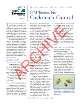 Cockroach Control