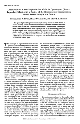 Description of a New Reproductive Mode in Leptodactylus (Anura, Leptodactylidae), with a Review of the Reproductive Specialization Toward Terrestriality in the Genus