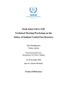 Sixth Joint IAEA–GIF Technical Meeting/Workshop on the Safety of Sodium Cooled Fast Reactors