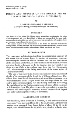 JOINTS and MUSCLES of the DORSAL FIN of TILAPIA NILOTICA L. (FAM. CICHLIDAE). by P. J. GEERLINK and J. J. VIDELER (Zoological La