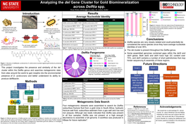 Analyzing the Del Gene Cluster for Gold Biomineralization Across Delftia Spp