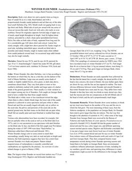 WINTER FLOUNDER / Pseudopleuronectes Americanus (Walbaum 1792) / Blackback, Georges Bank Flounder, Lemon Sole, Rough Flounder / Bigelow and Schroeder 1953:276-283