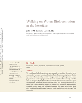 Biolocomotion at the Interface