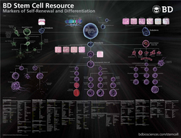 BD Stem Cell Resource Markers of Self-Renewal and Differentiation