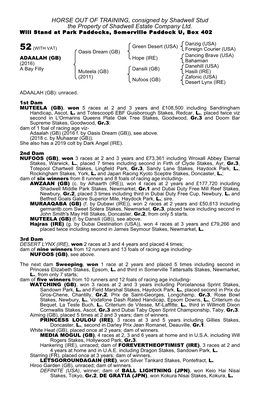 HORSE out of TRAINING, Consigned by Shadwell Stud the Property of Shadwell Estate Company Ltd