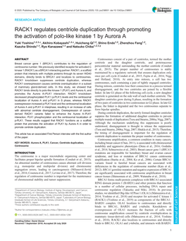 RACK1 Regulates Centriole Duplication Through Promoting the Activation Of