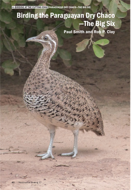 THE BIG SIX Birding the Paraguayan Dry Chaco —The Big Six Paul Smith and Rob P