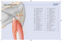 The Upper Limb Chapter 2