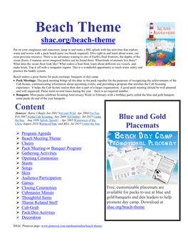 Beach Theme Ideas Page 5