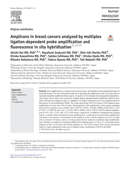 Amplicons in Breast Cancers Analyzed by Multiplex Ligation-Dependent