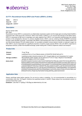 Recombinant Human ERO1-Like Protein A/ERO1L (C-6His)