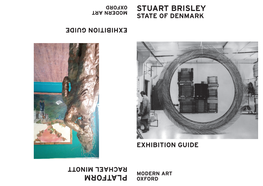 Stuart Brisley Exhibition Notes