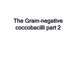 The Gram-Negative Coccobacilli Part 2