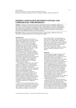 Feeding Association Between Fantails