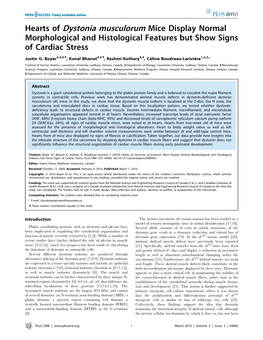 Hearts of Dystonia Musculorum Mice Display Normal Morphological and Histological Features but Show Signs of Cardiac Stress