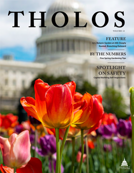 Tholos Volume 13