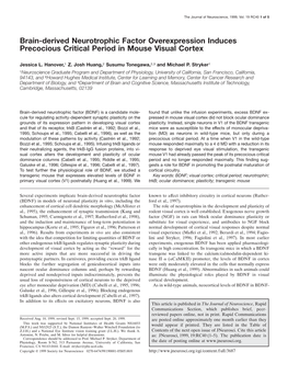 T€ Brain-Derived Neurotrophic Factor Overexpression Induces Precocious Critical Period in Mouse Visual Cortex