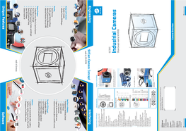 Software Unique Features Interfacing Engineering